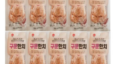 촉촉함 가득! 득템찬스 마른새끼한치 후기